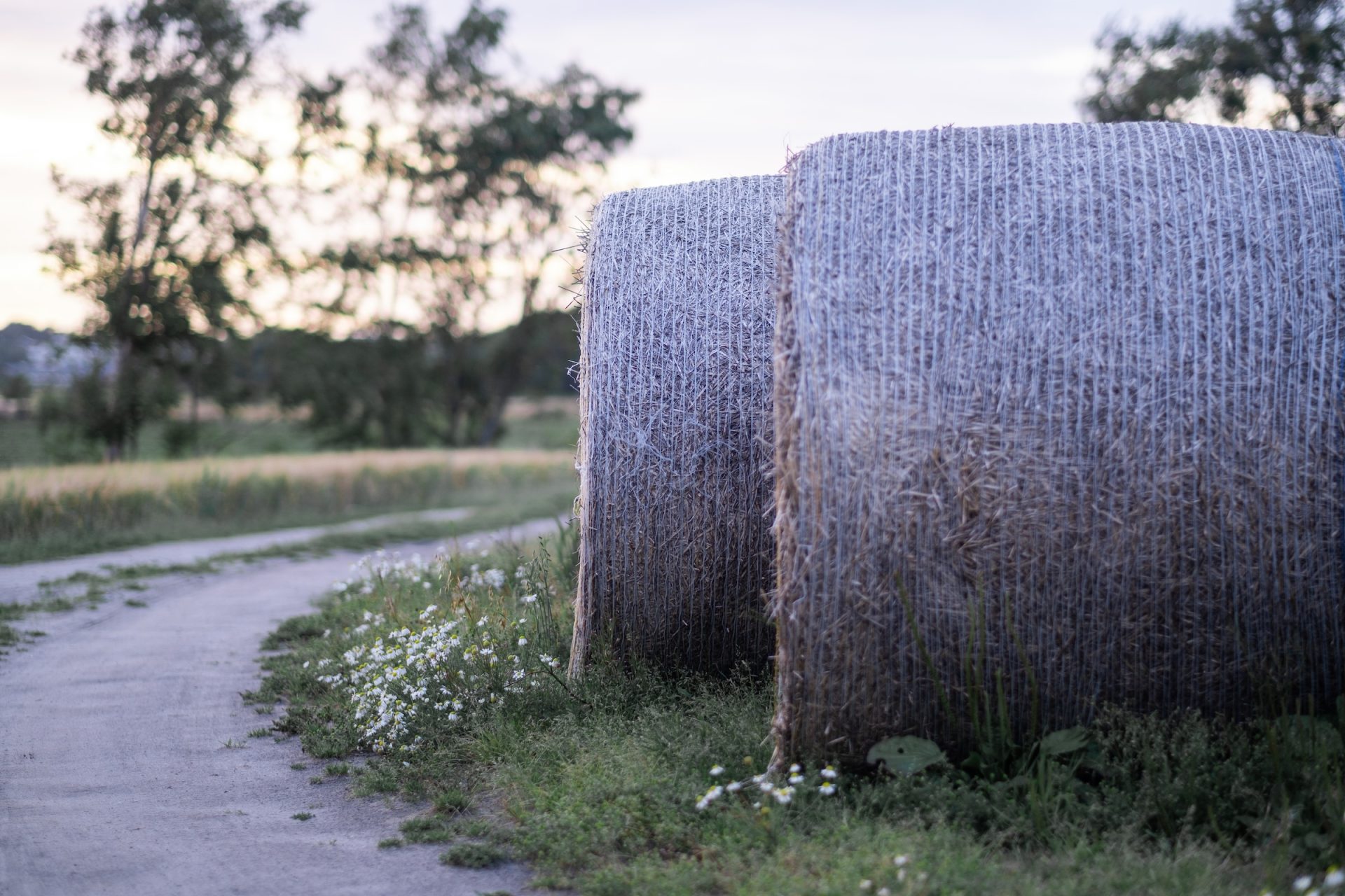 fotograf-halland